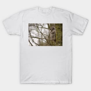 Barred Owl - Presqu'ile Park T-Shirt